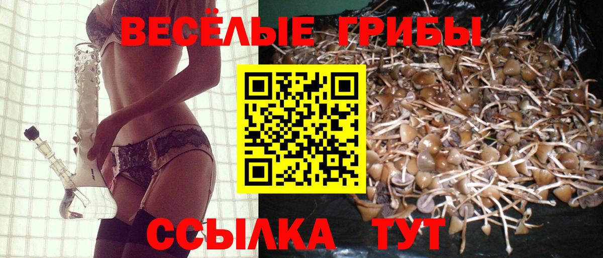 Новошахтинск  Галлюциногенные грибы мухоморы  даркнет сайт  Вход с VPN  Галлюциногенные грибы GOLDEN TEACHER 