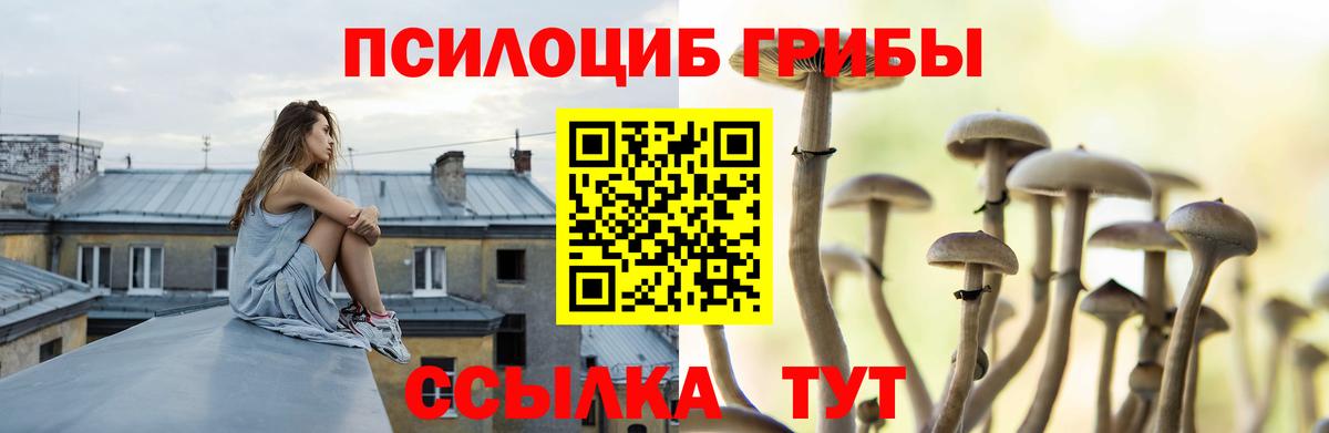 Галлюциногенные грибы Magic Shrooms Новошахтинск