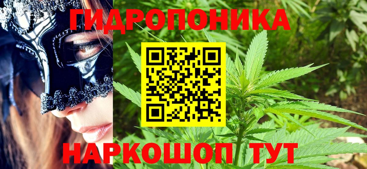Марихуана SATIVA & INDICA Новошахтинск